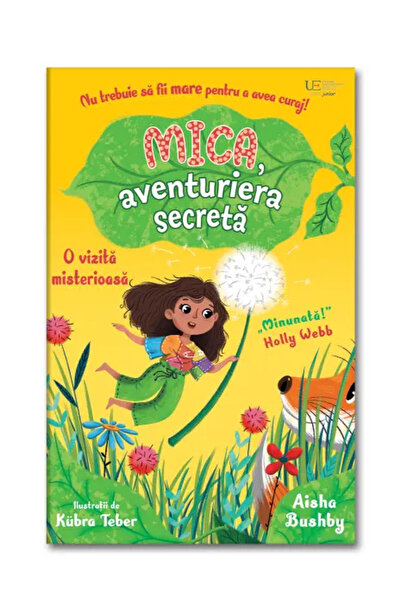Univers Enciclopedic Junior Mica, aventuriera secreta: o vizita misterioasa (...