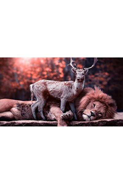 Persona Tablou canvas 100 x 70 cm, Animale model 389
