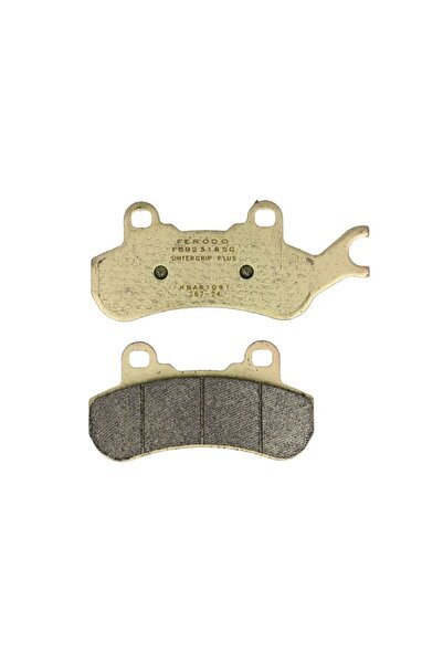 FERODO Placute de Frana Spate Destinat Pentru: Traseu Material: Sinter-sg 50 ...