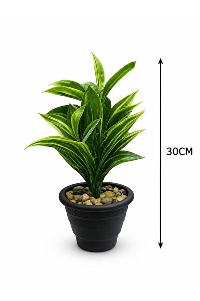 Generic Artificial Dracaena Plant in Black Pot, Realistic Faux Indoor Plant f...
