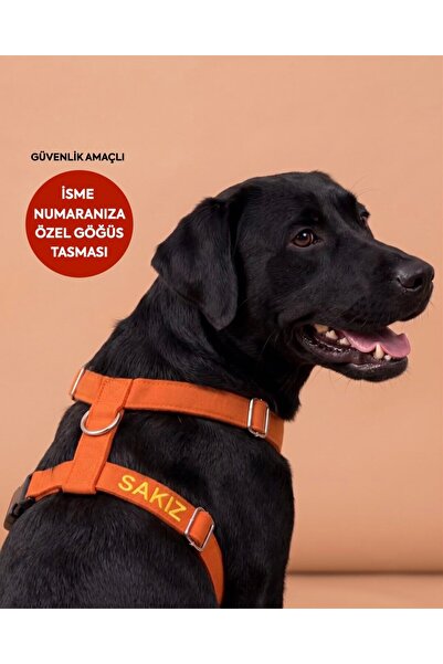LUSİ-DOOG Güvenlik Amaçlı Numaralı İsimli Köpek Göğüs Tasması Kişiye Özel Göğ...