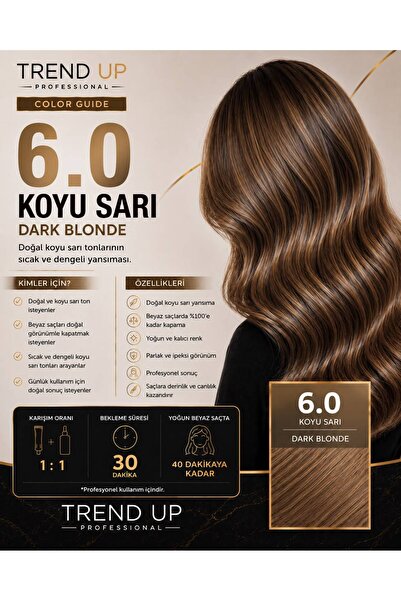 Ana Ton Amonyaklı Saç Boyası - 6.0