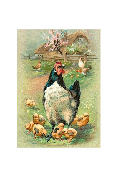 Skona Ting Felicitare Paste B6 multicolor cu plic