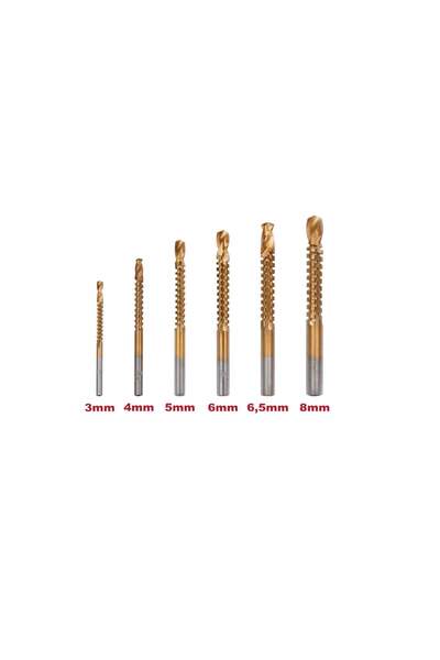 Raider Set de 6 freze combinate pentru frezare și găurire, HSS TiN 1/4 " CYL,...