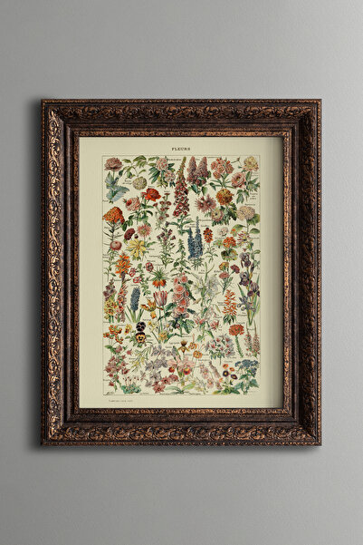 epiqart Botanical Floral Illustrations - Vintage Patterned Painting - Thick M...