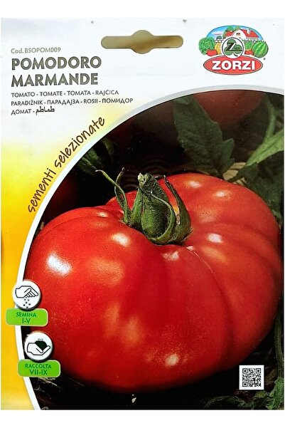 GENERAL Tomato Seeds