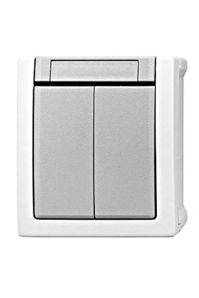 SCHRACK Întrerupător dublu, 10 A, PT, borne elastice, IP 54