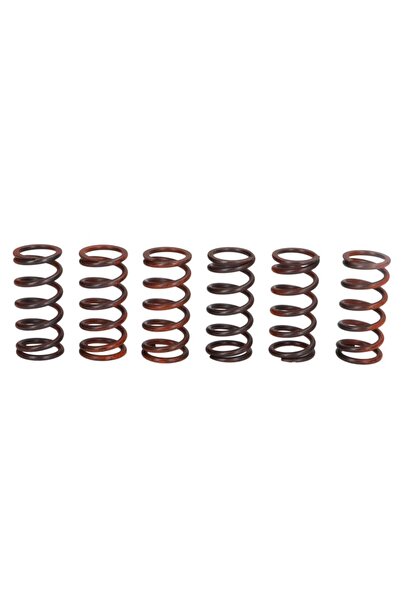 TRW Set Arcuri Ambreiaj Kawasaki Zx-10r 1000 2004-2015 KAWASAKI ZX-10R
