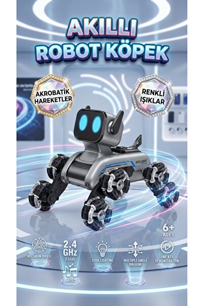 FİCOM TEKNOLOJİ Akrobatik Uzaktan Kumandalı Robot Araba 360° Dönen Şarjlı Off...