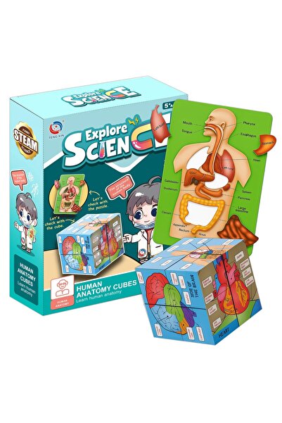 Stator Cub puzzle educativ Corp uman Organe umane cu descrieri