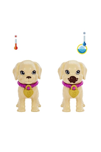 Barbie adoptarea câinilor + păpușă HKD86 /4