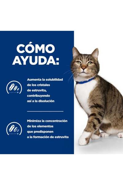 NO BRAND HILL'S Diet Feline c/d Îngrijire Urinară -