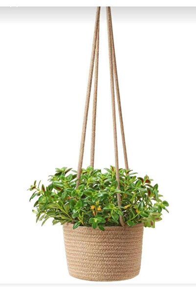 SHLM TEKSTİL 22X15 Basket Decorative Long Handle Flower Pot Wall Flower Pot