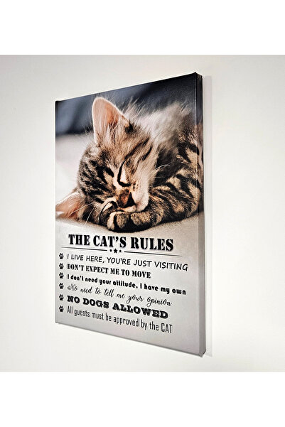 Generic Brand Tablou canvas 35x25 cm "Cat's Rules"