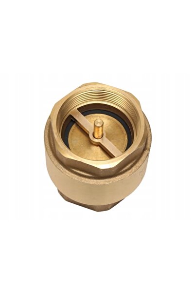 NO BRAND Clapetă de reținere tip ciupercă din alamă, 2 " Dn50, Invena