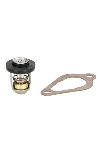 SİERRA Termostat al Sistemului de Racire (60 °c 140 °f 60º