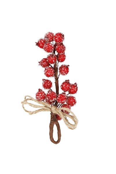 RADIONAT , Decorative branch with artificial cranberries and jute string, 15x...
