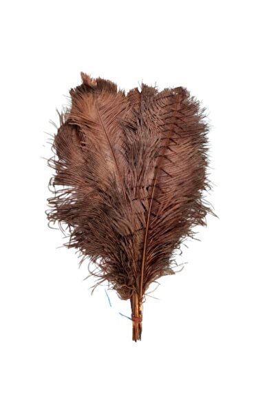 OEM Set de 3 pene de struț, lungi de 50 cm, culoare maro, lățime 20-25 cm