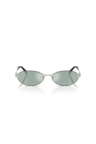 Tiffany and Co Tiffanıy Tf 3119D 600165 .56 Sunglasses