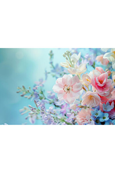 Bloom & Sow Seed بذور زهور مختلطة بألوان الباستيل - مزيج من الفريزيا الوردية ...