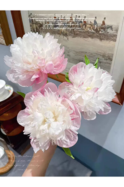 Bloom & Sow Seed Blush Pink Tip Large Bloom Peony Seeds, Courtyard Garden Lan...