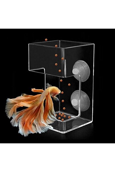 STARSTAR Transparent 10x6x6 cm Automatic Square Fish Feeder with Float