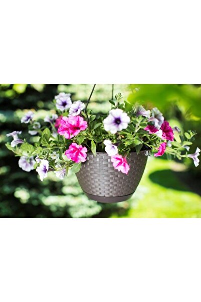 Deco4Home SET 6x Ghivece suspendate pentru balcon și terase, tip bol, maro