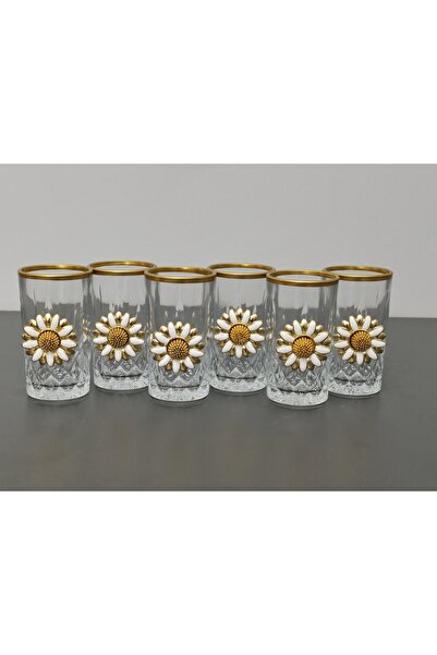 PARILTI HOME COLLECTİON 6-Piece Daisy Figured Coffee Water Glass Set