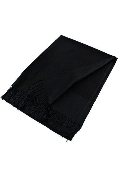 GENERAL PASKMLNA womens Paisley Pashmina Pashmina Shawl