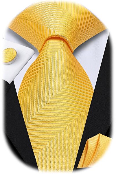 Dubulle Mens Paisely Silk Tie for Men Necktie and Pocket Square Set
