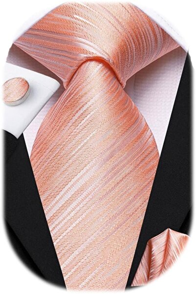 Dubulle Mens Paisely Silk Tie for Men Necktie and Pocket Square Set