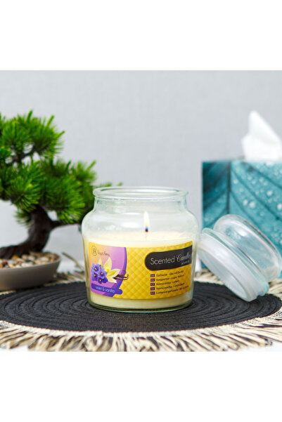 Alista Home Lumânare parfumată în borcan cu capac, parfum de violetă și vanil...