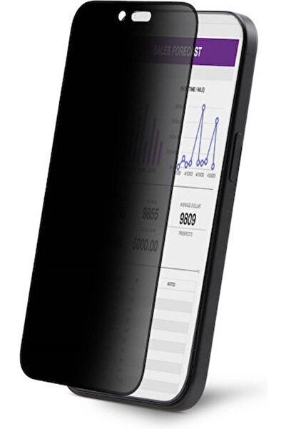 startech Αντι-κατασκοπευτικό Σκληρυμένο Γυαλί (iPhone 15 Plus / 16 Plus)