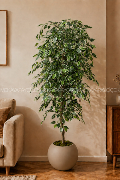 Meka Yapay Çiçek Benjamin Yapay Ağaç (Starlight) 180 Cm Küre Saksı