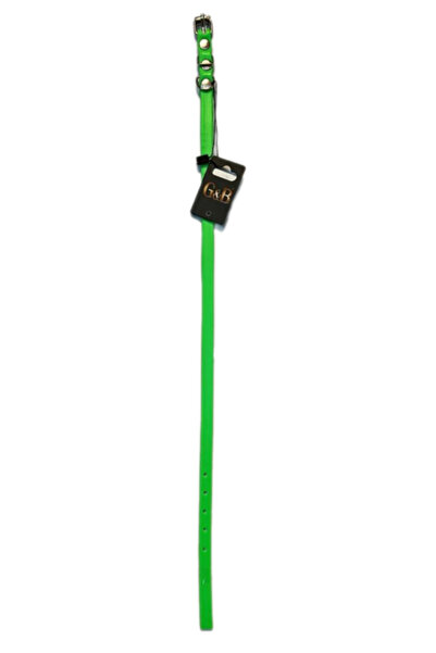 Gb Pet Nhr-Hlss (132144) Leash Green