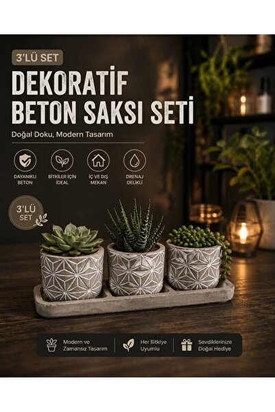 MF Botanik Küçük Boy Gri Beton Saksı 3'lü Set 5,5 Cm Üretim Saksıları İçin Ta...