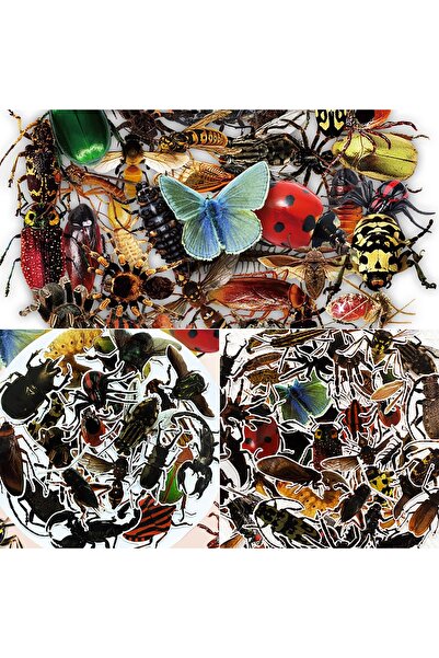 Choice 50Pcs 50Pcs Transparent Realistic Insect Stickers Butterfly Spider Gra...