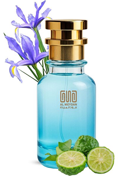 OUD AL MEYDAN Oil Based Perfume for Men – Inspired by Armaneii Coode – Amber ...