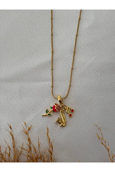 stainless steell Charmlı Figured Steel Necklace