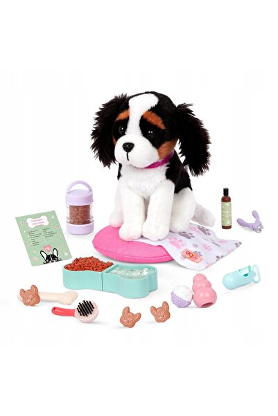 NO BRAND Our Generation: set de accesorii - Paw Paradise - PENTRU CĂțeluși
