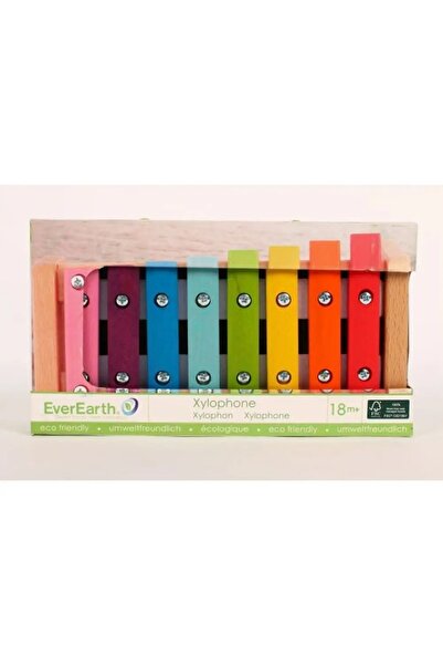 NO BRAND EverEarth EE32602 jucărie educativă