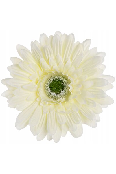 NO BRAND 24 bucăți GERBERA CREAM Cap de producție pentru produse cremoase