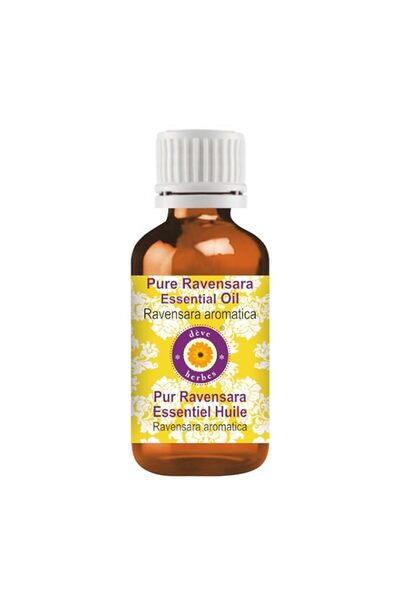 Generic Brand Deve Herbes Pure Ravensara Essential Oil (Ravensara aromatica) ...