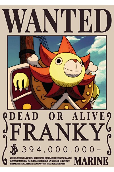 OEM Poster Carton 250g A4 One Piece Franky, Personaj Anime Colectie, Mat Premium
