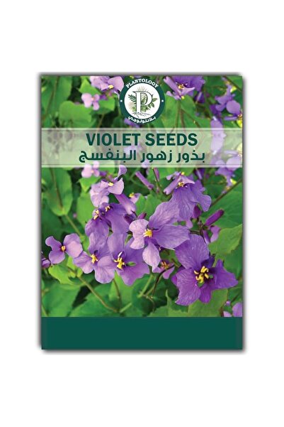 Generic Violet Seeds for Planting - Orychophragmus Violaceus Seeds for Growin...
