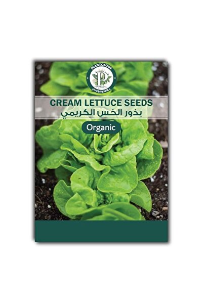 Generic Cream Lettuce Seeds for Planting – Lettuce Seeds – Crisp, Tender & Fl...