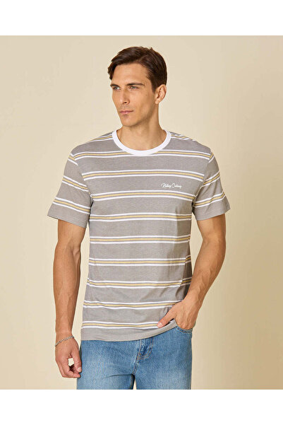 REDTAG Men Grey Striped Crew Neck T-Shirt