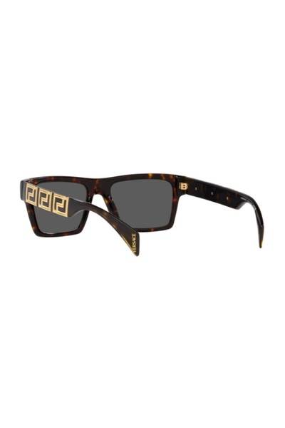 Versace Güneş Gözlüğü VE4445 54 108/87