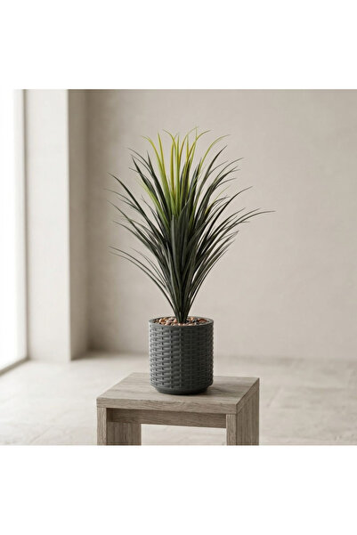 co arma Artificial Cactus Plant in Pot, 90cm Tall, Green, for Indoor Decorati...