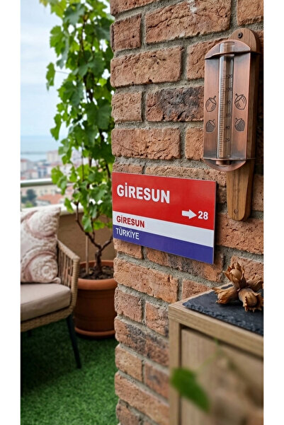 Home Tablo "Giresun 28 Memleket tablo 15x30 cm"